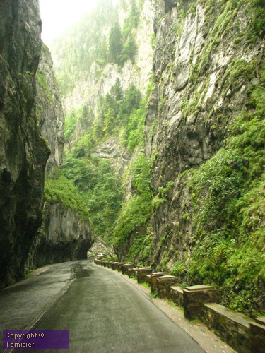 2008-08-30 16-55-29.JPG - 2008-RO>Ri Lacul Rosu-Bicaz Klamm